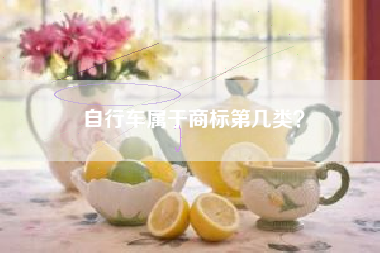 自行车属于商标第几类？
