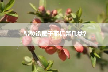 醋酸铅属于商标第几类？