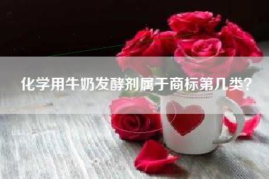 化学用牛奶发酵剂属于商标第几类？