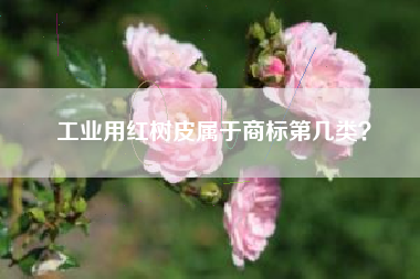 工业用红树皮属于商标第几类？