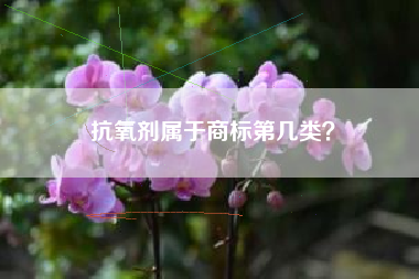 抗氧剂属于商标第几类？