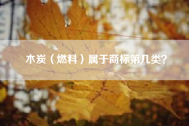 木炭（燃料）属于商标第几类？