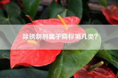 除锈制剂属于商标第几类？