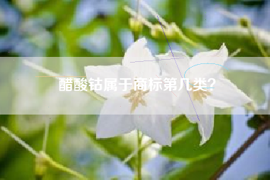醋酸钴属于商标第几类？