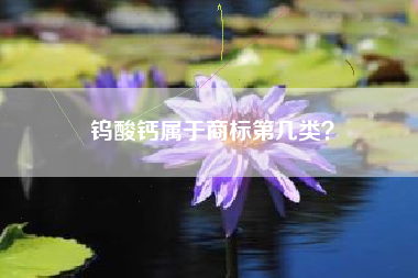 钨酸钙属于商标第几类？