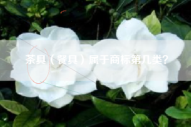 茶具（餐具）属于商标第几类？