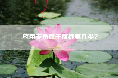 药用麦角属于商标第几类？