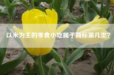 以米为主的零食小吃属于商标第几类？
