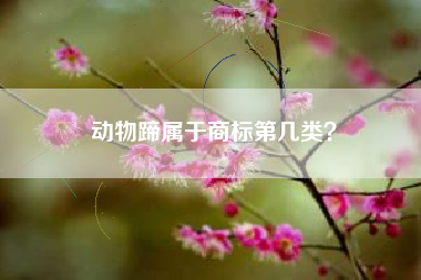 动物蹄属于商标第几类？