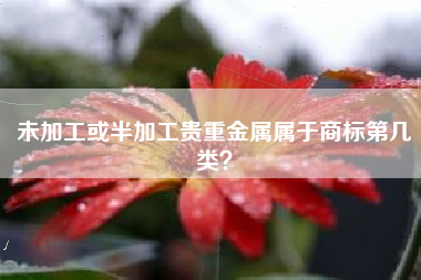 未加工或半加工贵重金属属于商标第几类？