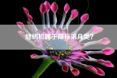 缝纫机属于商标第几类? 缝纫机属于商标第几类?