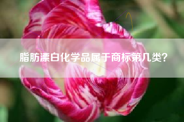 脂肪漂白化学品属于商标第几类？
