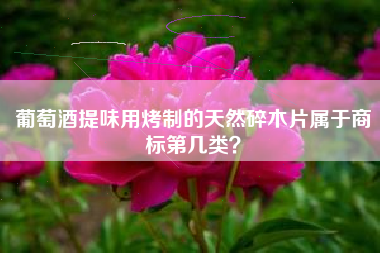 葡萄酒提味用烤制的天然碎木片属于商标第几类？