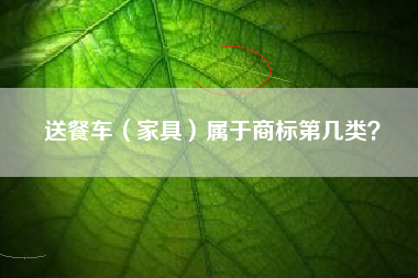 送餐车（家具）属于商标第几类？