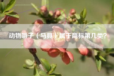 动物嚼子（马具）属于商标第几类？