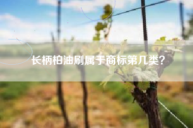 长柄柏油刷属于商标第几类？