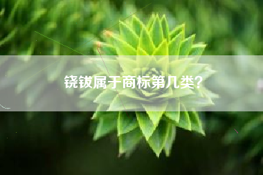 铙钹属于商标第几类？