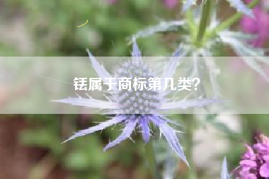 铥属于商标第几类？