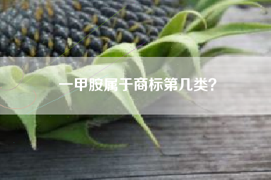 一甲胺属于商标第几类？