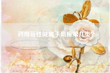 药用苛性碱属于商标第几类？