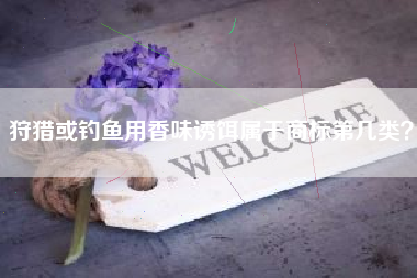 狩猎或钓鱼用香味诱饵属于商标第几类？