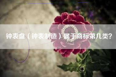 钟表盘（钟表制造）属于商标第几类？