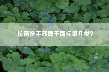 抗菌洗手液属于商标第几类？