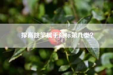 撑高跳竿属于商标第几类？