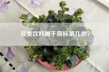 豆类饮料属于商标第几类？
