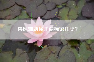 兽医辅助属于商标第几类? 兽医辅助属于商标第几类?