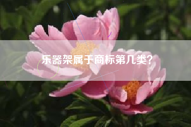 乐器架属于商标第几类? 乐器架属于商标第几类?