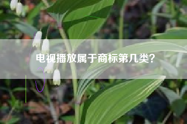 电视播放属于商标第几类？