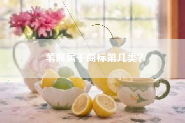 苇席属于商标第几类？