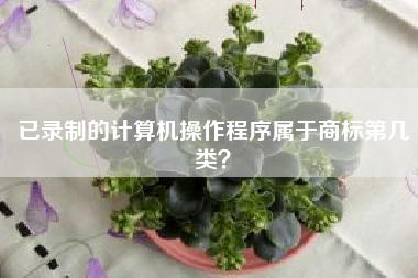 已录制的计算机操作程序属于商标第几类？