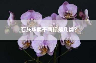 石灰华属于商标第几类？
