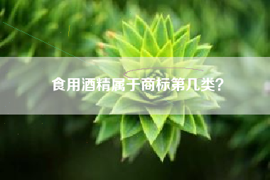 食用酒精属于商标第几类? 食用酒精属于商标第几类?