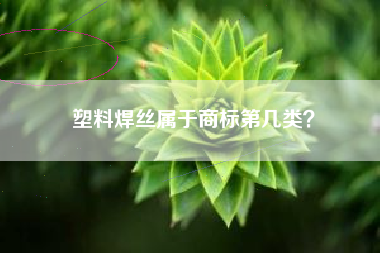 塑料焊丝属于商标第几类？