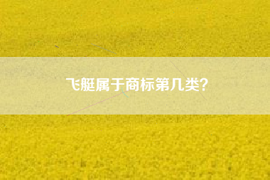 飞艇属于商标第几类？