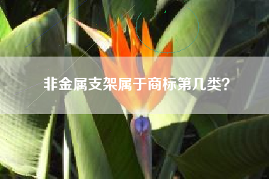 非金属支架属于商标第几类？
