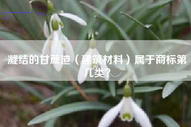 凝结的甘蔗渣（建筑材料）属于商标第几类？