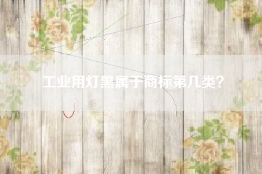 工业用灯黑属于商标第几类？