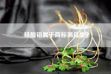 硅酸铝属于商标第几类？
