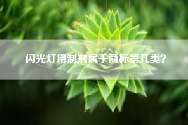 闪光灯用制剂属于商标第几类？