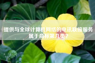 提供与全球计算机网络的电讯联接服务属于商标第几类？