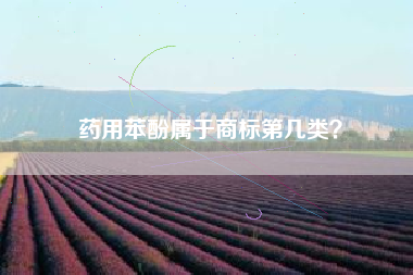 药用苯酚属于商标第几类？