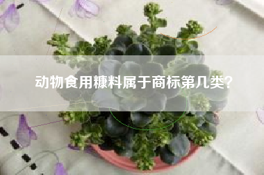 动物食用糠料属于商标第几类？