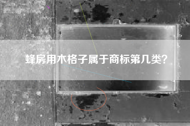 蜂房用木格子属于商标第几类？