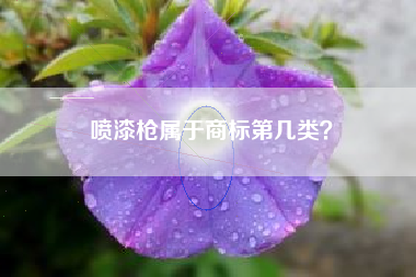 喷漆枪属于商标第几类？