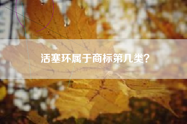 活塞环属于商标第几类？