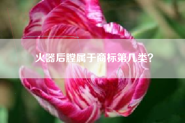 火器后膛属于商标第几类？